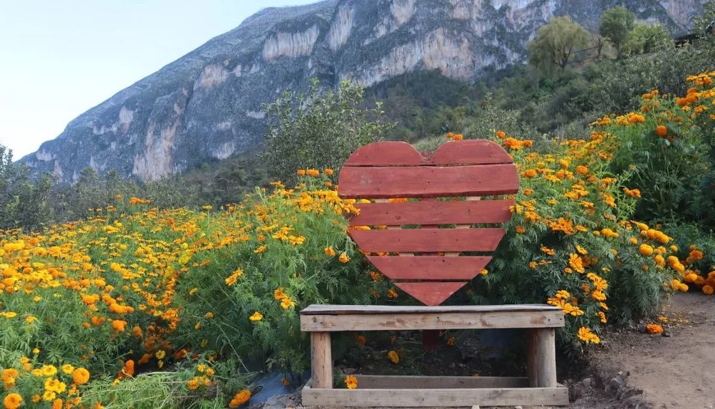 Banca en forma de corazón frente a la sierra